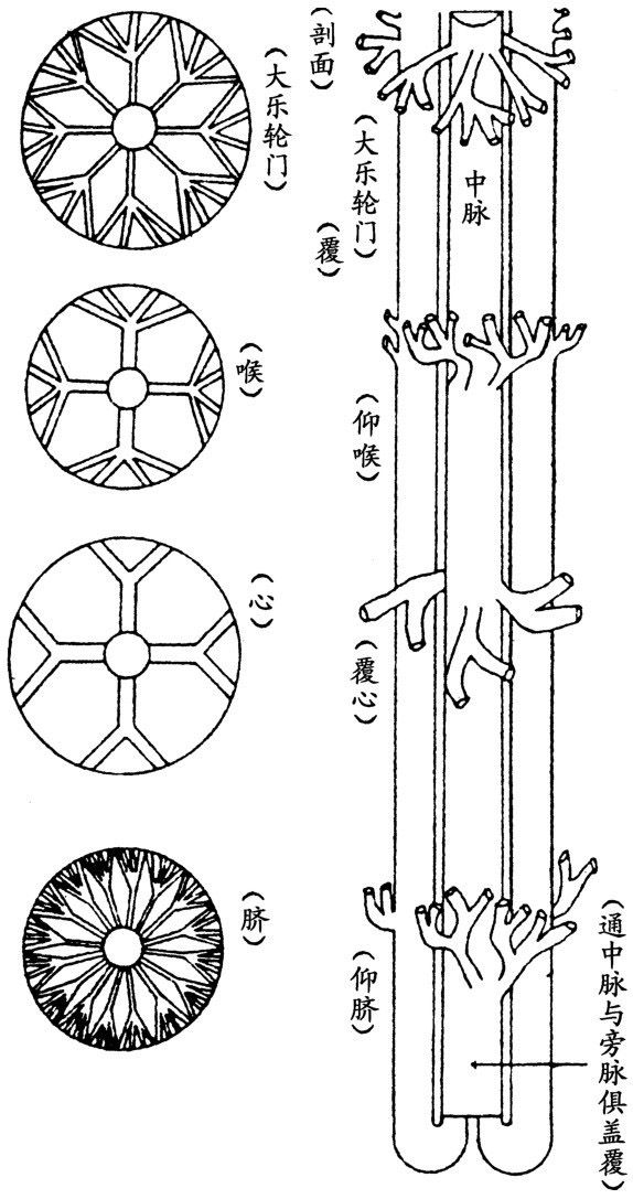 Figure-0034-0004